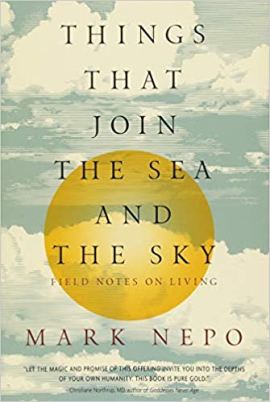 41MSFT0E1GL._SX333_BO1,204,203,200_