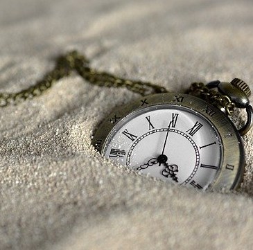 How We Adapt To Stress